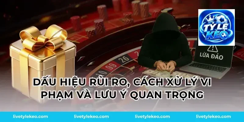 Dấu hiệu rủi ro, cách xử lý vi phạm và lưu ý quan trọng