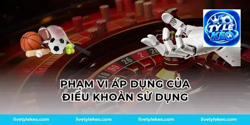 Phạm vi áp dụng của điều khoản sử dụng