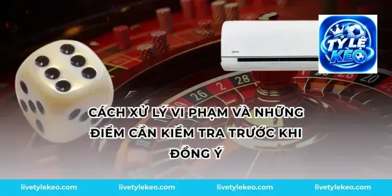 Cách xử lý vi phạm và những điểm cần kiểm tra trước khi đồng ý